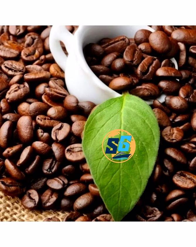 Malabar Robusta coffee-2