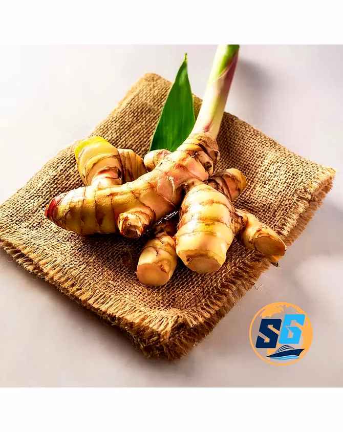 Ginger-3