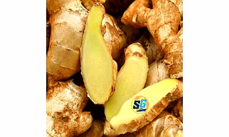 Ginger