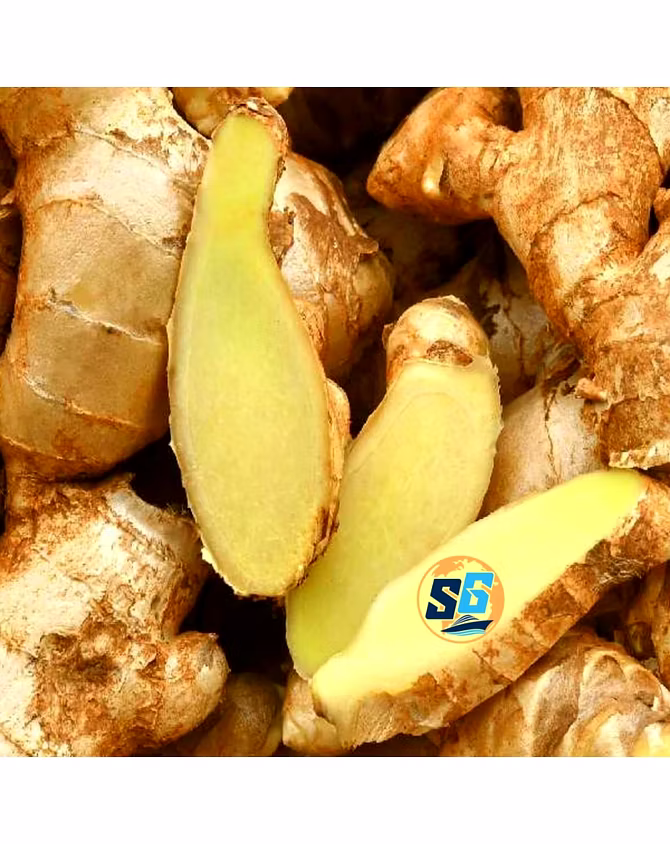 Ginger-5