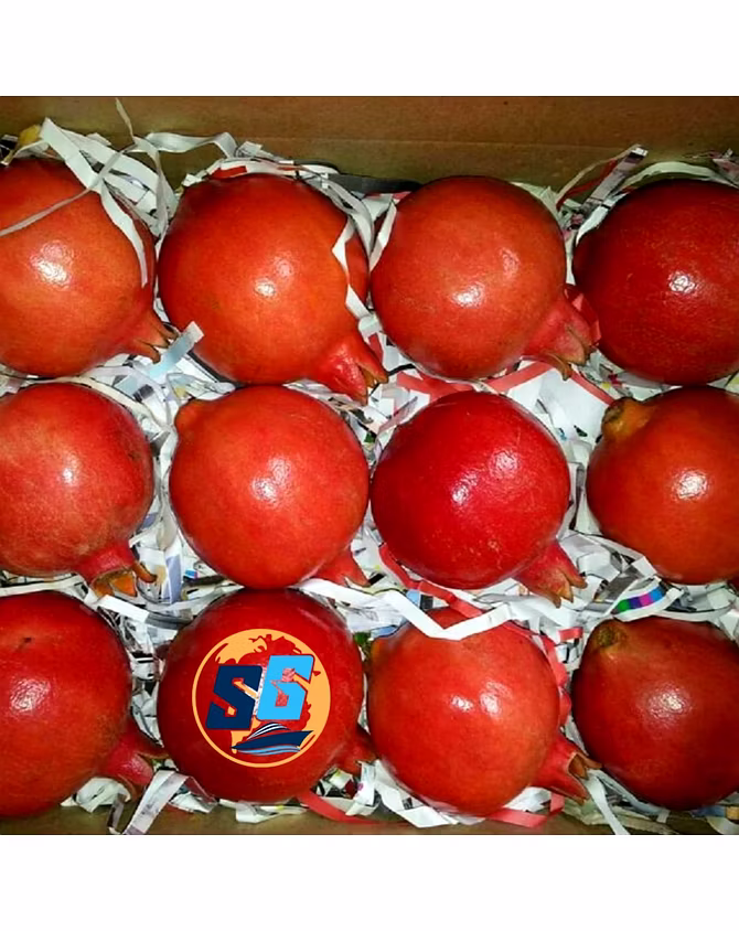 Pomegranate-2