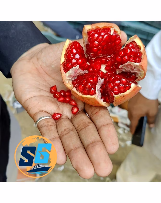 Pomegranate-3