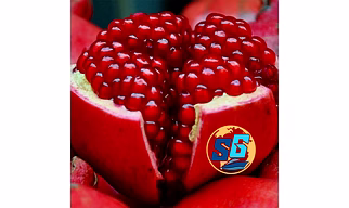 Pomegranate