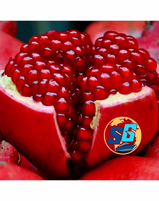 Pomegranate-12744975