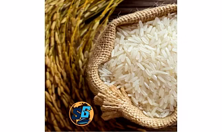 Basmati Rice