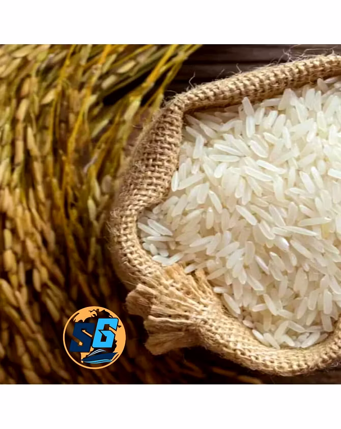 Basmati Rice-3