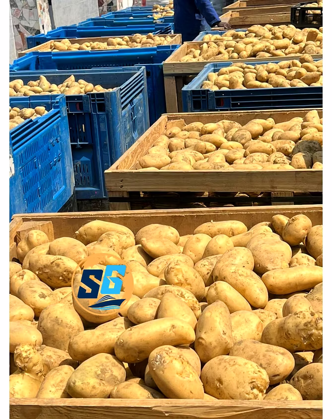Potatoes-3