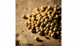 Coriander Seeds