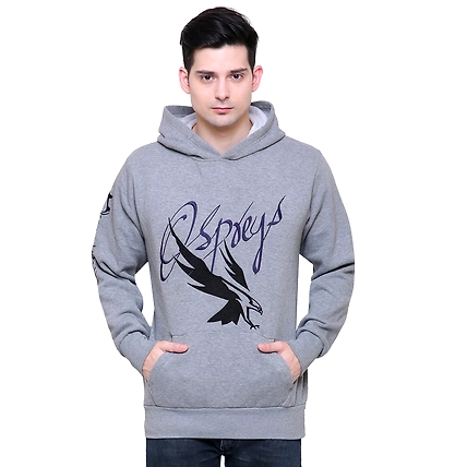 Customizable Hoodie For Office &amp; Promotion-1