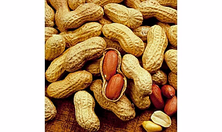Whole Groundnut (Peanuts)