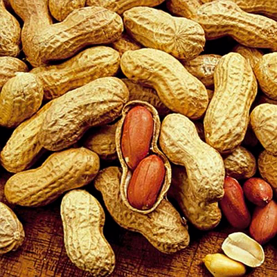 whole groundnut (peanuts)