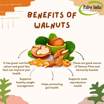 Paleo India 500gm Premium California Inshell Walnuts| Kagzi Akhrot| Walnuts with Shell-3