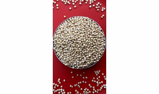 Jowar (Sorghum)