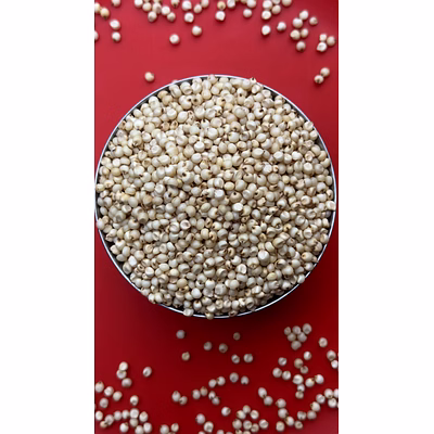 jowar (sorghum)