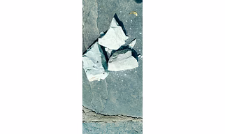 Limestone