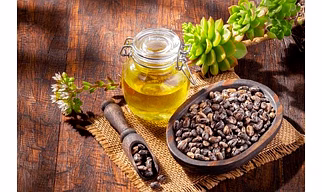 FSG CASTOR OIL