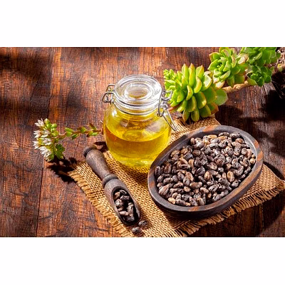 fsg castor oil