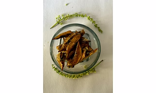 Dehydrated Chicken Wing Tips (Bulk, Natural, Single-Ingredient, Pet Safe)