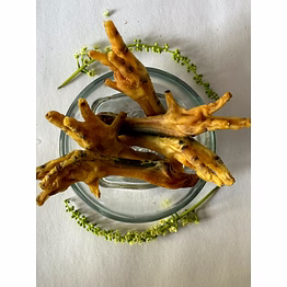 dehydrated chicken feet (bulk, natural, single-ingredient, pet safe)
