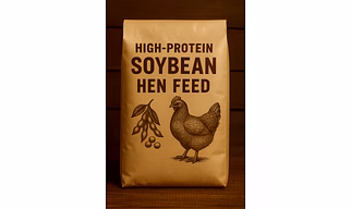 High-Protein Soybean Hen Feed