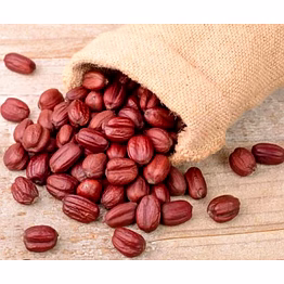 natural brown jojoba oil seeds