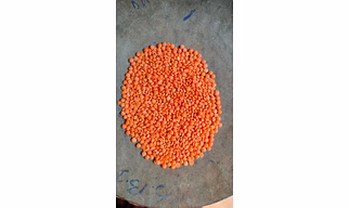 Devbhumi ®️ Masoor Chatti, Red Lentil