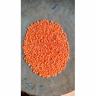devbhumi ®️ masoor chatti, red lentil