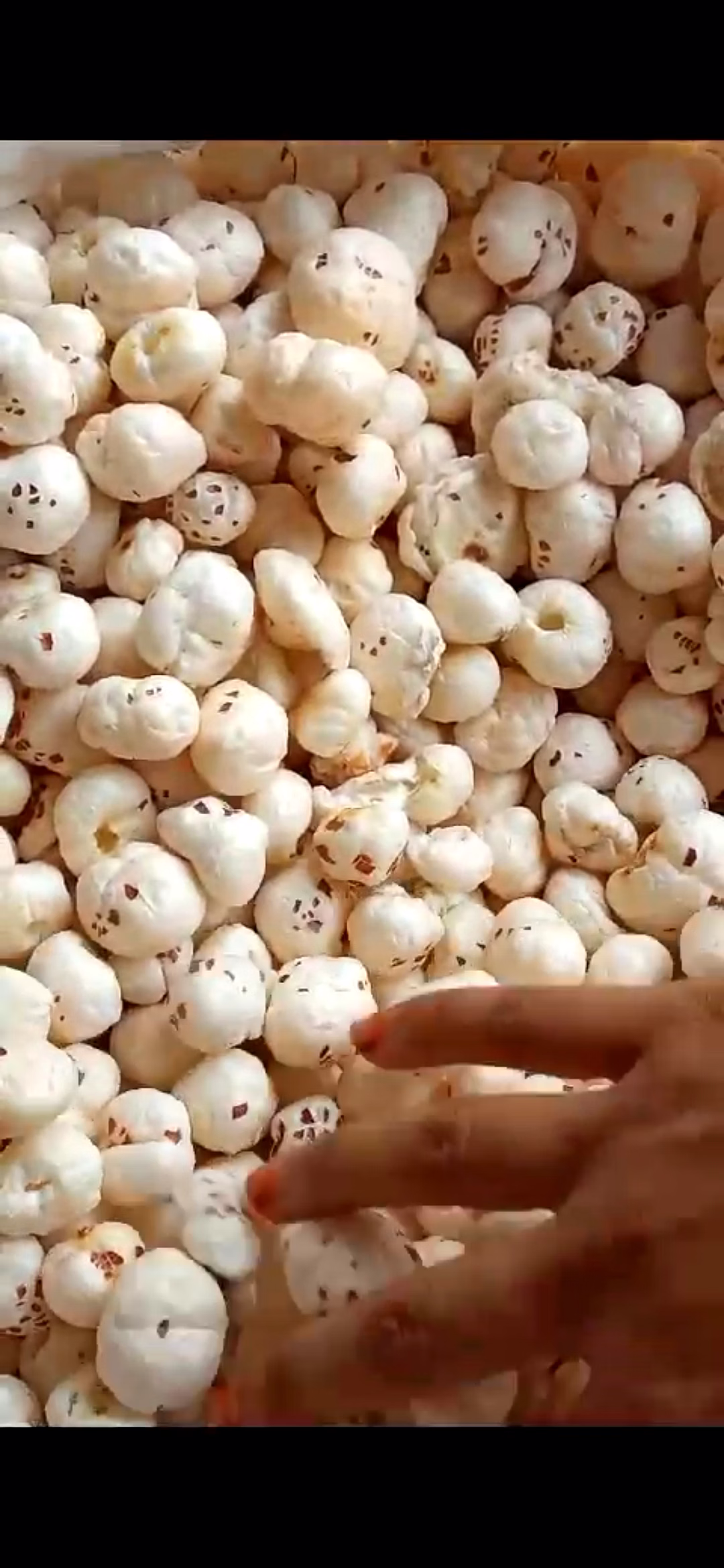 Fox nuts ( makhna) image 3