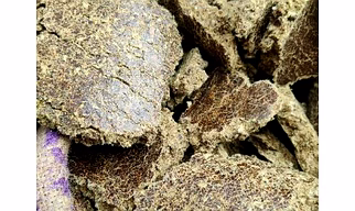 Cotton seed oil cake (cotton cake)