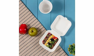 9x9 Inch Bagasse Clamshell Box – Biodegradable Sugarcane Pulp Food Container