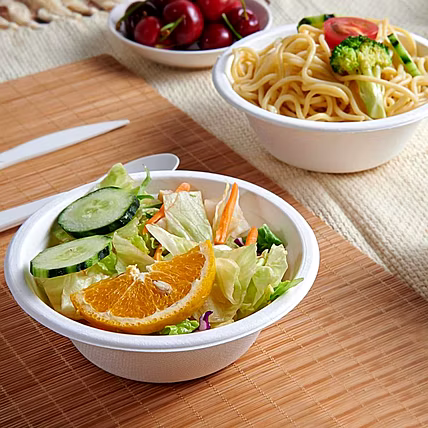 12 oz Bagasse Bowl – Biodegradable Sugarcane Pulp Disposable Bowl-1