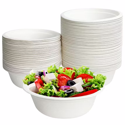12 oz Bagasse Bowl – Biodegradable Sugarcane Pulp Disposable Bowl-2