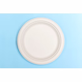 12 inch round bagasse plate – biodegradable sugarcane pulp disposable tableware