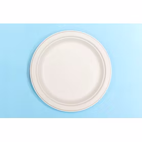 12 Inch Round Bagasse Plate – Biodegradable Sugarcane Pulp Disposable Tableware
