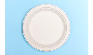 12 Inch Round Bagasse Plate – Biodegradable Sugarcane Pulp Disposable Tableware
