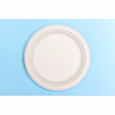 12 inch round bagasse plate – biodegradable sugarcane pulp disposable tableware