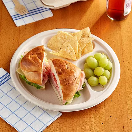 10 Inch 3-Compartment Round Bagasse Plate – Biodegradable Sugarcane Disposable Tableware-1