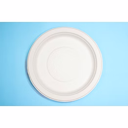 10 inch round bagasse plate – biodegradable & compostable, no compartment