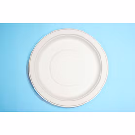 10 Inch Round Bagasse Plate – Biodegradable & Compostable, No Compartment