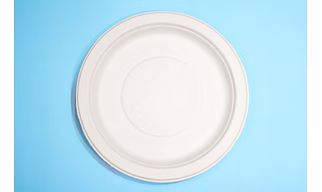 10 Inch Round Bagasse Plate – Biodegradable & Compostable, No Compartment