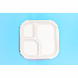 9 inch 3-compartment square bagasse plate – biodegradable sugarcane disposable tableware