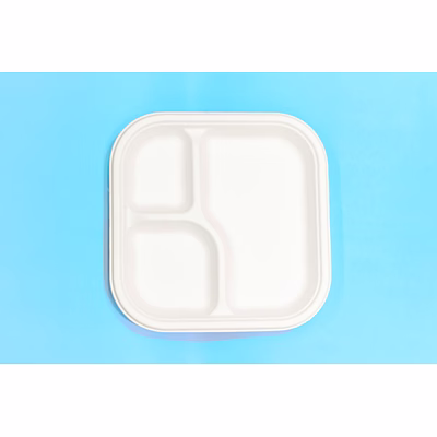 9 inch 3-compartment square bagasse plate – biodegradable sugarcane disposable tableware