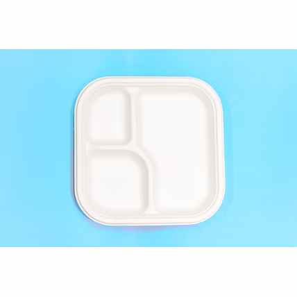 9 Inch 3-Compartment Square Bagasse Plate – Biodegradable Sugarcane Disposable Tableware-12726249