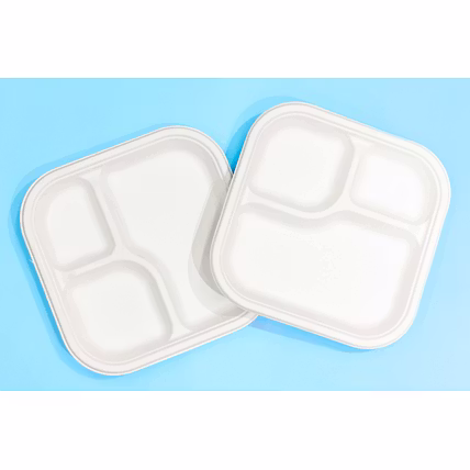 9 Inch 3-Compartment Square Bagasse Plate – Biodegradable Sugarcane Disposable Tableware-1
