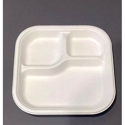 9 Inch 3-Compartment Square Bagasse Plate – Biodegradable Sugarcane Disposable Tableware-2