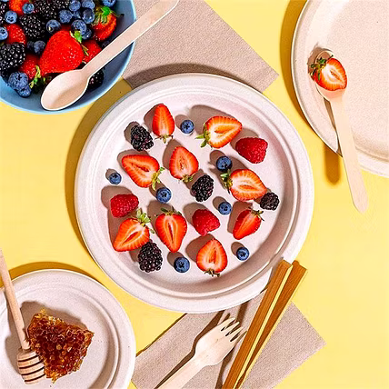 9 Inch Biodegradable Sugarcane Bagasse Round Plate – No Compartment, Eco-Friendly Disposable Tableware-2