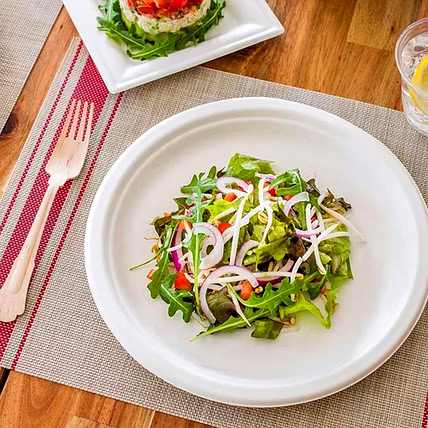 9 Inch Biodegradable Sugarcane Bagasse Round Plate – No Compartment, Eco-Friendly Disposable Tableware-3