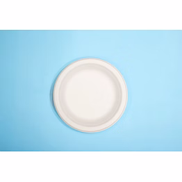 7 inch biodegradable sugarcane bagasse round plate – no compartment