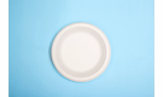 7 Inch Biodegradable Sugarcane Bagasse Round Plate – No Compartment
