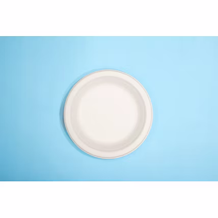 7 Inch Biodegradable Sugarcane Bagasse Round Plate – No Compartment-12726245